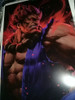 Posters De Street Fighter 1
