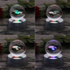 Star Trek Uss Enterprise 3d Decoración De Cristal Lámpara De 4