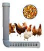 Comedouro Criação De Pássaro, Aves, Galinheiro Pitt Pet 1