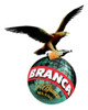 Combo Fernet Branca 750 + 2 Coca Cola Original 1.75 6