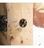 5 Brocas De Pala De Longitud Extendida Daredevil Bosch 5