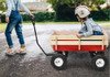 Carrito Con Manija 2