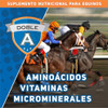 Suplemento Nutricional Equinos Doble A 1