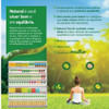 Kit 12 Natural Tea Chá Branco Com Pitaya Sabor Amora 1 Litro 4