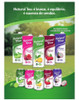 Kit 12 Natural Tea Chá Branco Com Pitaya Sabor Amora 1 Litro 6