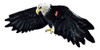 Peluche Animal Gigante Halcon Real 146 Cm. Phi Phi Toys 2