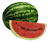 Sementes De Melancia Crimson Sweet/ Lata - 100g - Feltrin 1