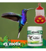 Alimento Nectar Picaflor Colibri Exzootix Bebedero Kit 5