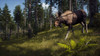 Way Of The Hunter Código Original Pc 2