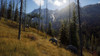 Way Of The Hunter Código Original Pc 3