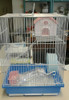 Jaula Para Hamster 1