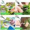 Juegos Herramientas Bonsai Jardín Kit 24pcs 1