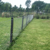 Malla Electrosoldada 15x15mm 60cm X 5mts Alambre Cerco Galv 6