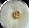 Ouro No Quartzo Da Austrália Pedra Bruta Mineral. N4250 1