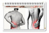 Parche Chino X 7 Sobres Dolores Contracturas Muscular -caba- 2