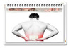 Parche Chino X 7 Sobres Dolores Contracturas Muscular -caba- 3