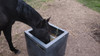 Comedero Equino 0