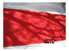 Alfombra Roja  Camino De 1 Mtr De Ancho Para Eventos 2