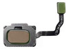 Flex Boton Huella Trasero Compatible Samsung S9 Y S9+ Dorado 0