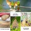 2 Piezas De Casa Para Pájaros Y Colibríes Con 2 Piezas De Ni 4