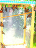 Mariposario 5