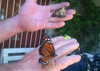 Mariposario 7
