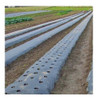 50m Nylon Film Negro Para Mulch Todos Los Cultivos 1.2 Ancho 0