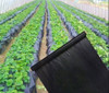 50m Nylon Film Negro Para Mulch Todos Los Cultivos 1.2 Ancho 1