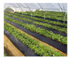 50m Nylon Film Negro Para Mulch Todos Los Cultivos 1.2 Ancho 2