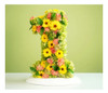 Oasis Espuma Floral Placa Grande 4