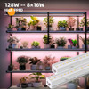 Luces De Cultivo Barrina T5, Luces De Cultivo Led De Espectr 1