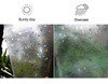 Coavas 3d Window Film Privacy Window Decor Película De Vidri 1