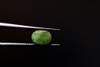 Esmeralda Africa Oval 7x5mm Facetada (svgemstones) 2