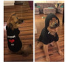 Expawlorer Bitches Love Me Sudaderas Con Capucha De Perro Fl 2