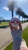Pokeball Honor Ball 4