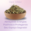 Erva De Banho E Defumação | Capim Colônia Mistico Kit C/2 4