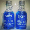 Combo 15 Souvenirs Personalizados Temática Skyy + Central 3