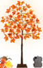 Turnmeon 4 Pies Prelit Maple Tree Decoraciones De Accin De G 0
