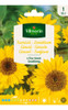 Semillas Flores - Girasol - Envíos 1