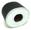 Filtro Ar Compatível Motor Nagano 5,5 6,5 7hp 4