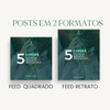Pack Template Sofisticado Finanças Consultoria Financeira 7