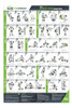 Póster De Estiramiento Básico Everstretch Para Gimnasio En C 0