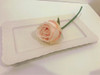 Bandeja Rectangular Porcelana Cocina Comedor Sushi Bordada 2