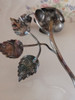 Rosas Baño De Plata 6