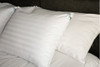 Almohada Pluma Ganso 50 X 90 Cm. 1,800 Grs. + Funda Cierre 1