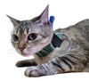 Colar Para Sonda Esofágica Para Gatos - Pet Med Dry Verde N3 3