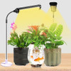 Jsyboy Luz De Cultivo Para Plantas De Interior Lámpara De Pl 0
