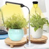 Jsyboy Luz De Cultivo Para Plantas De Interior Lámpara De Pl 1