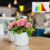 Jsyboy Luz De Cultivo Para Plantas De Interior Lámpara De Pl 3