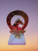 Trofeo Herradura/caballo. Trofeoshm 2